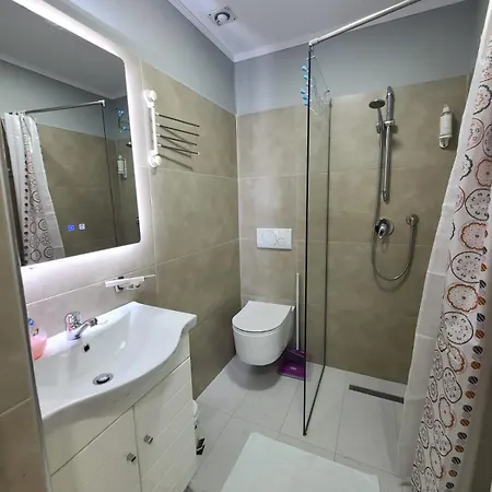 Apartment My Apartments Rooms For Rent Tirana